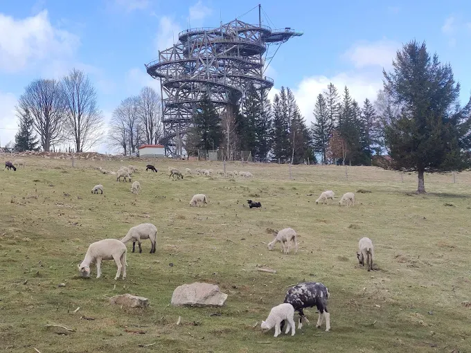 WIEŻA WIDOKOWA SKY WALK